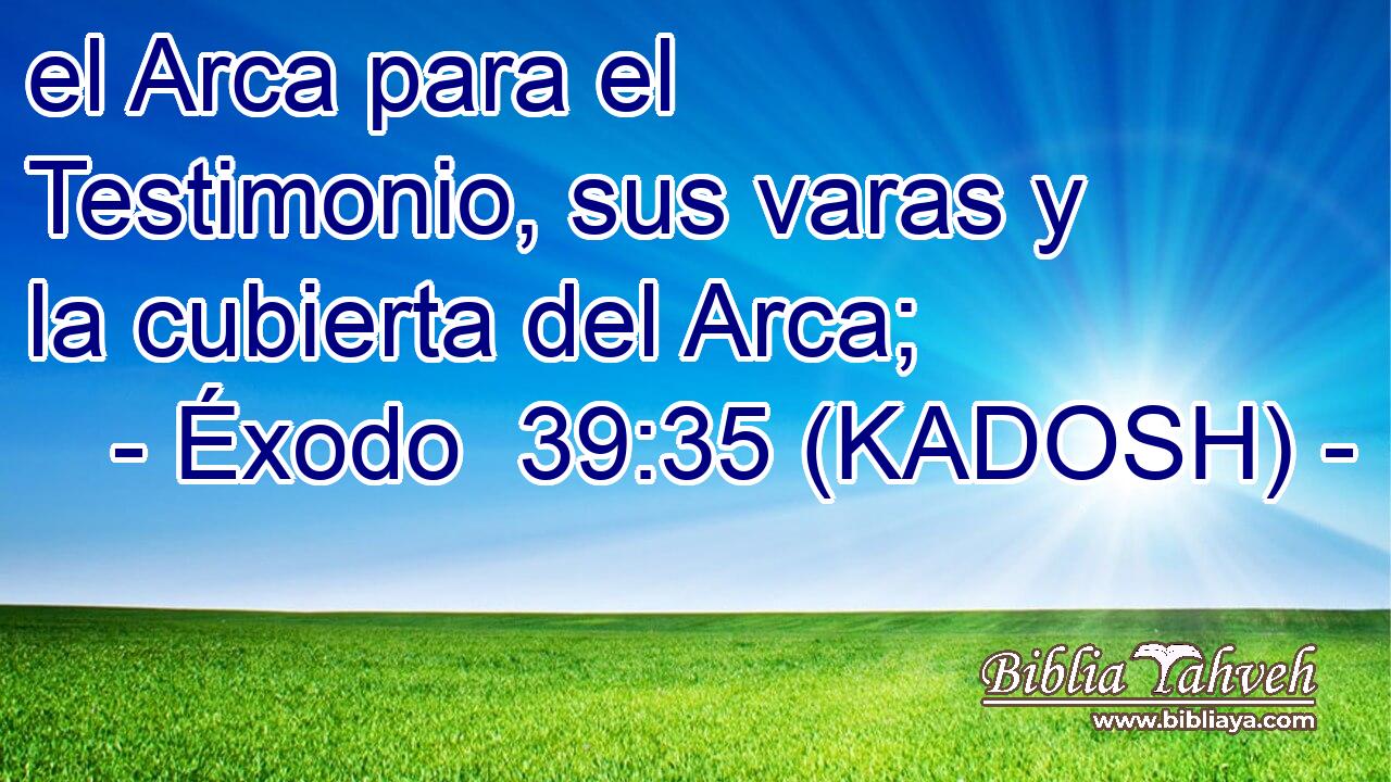  el Arca para el Testimonio, sus varas y la cubierta del Arca; 