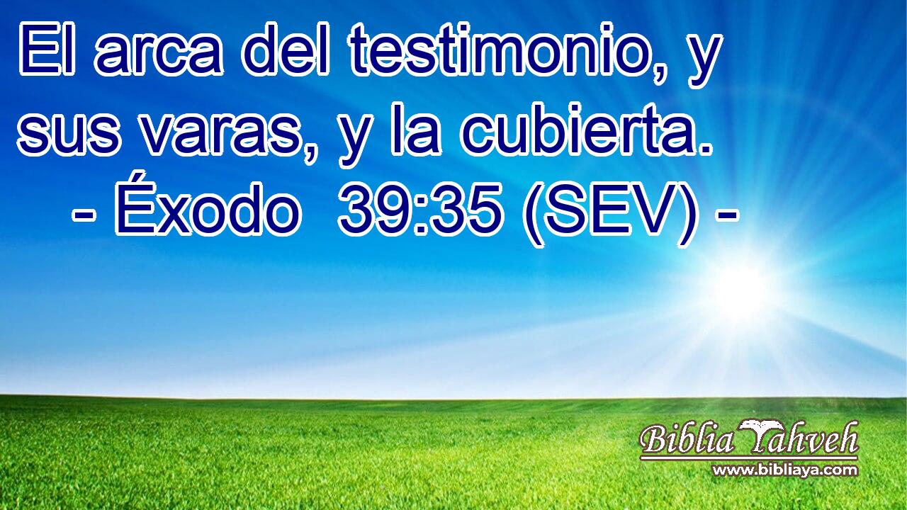 El arca del testimonio, y sus varas, y la cubierta.