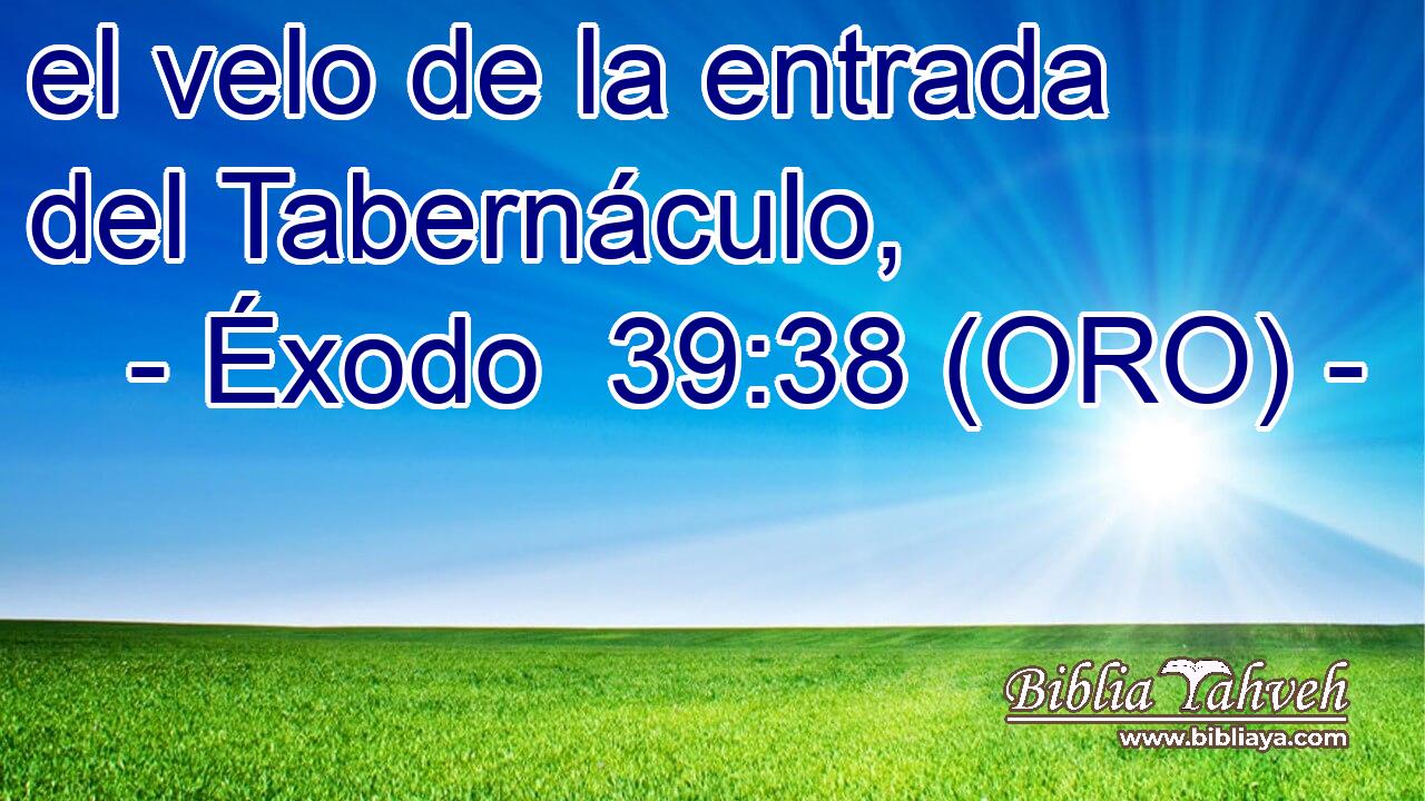  el velo de la entrada del Tabernáculo, 