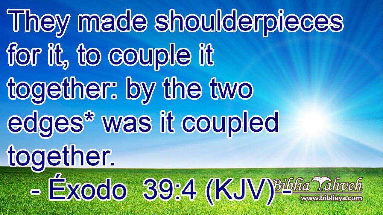 They made shoulderpieces for it, to couple it together: by the two edges* was it coupled together.