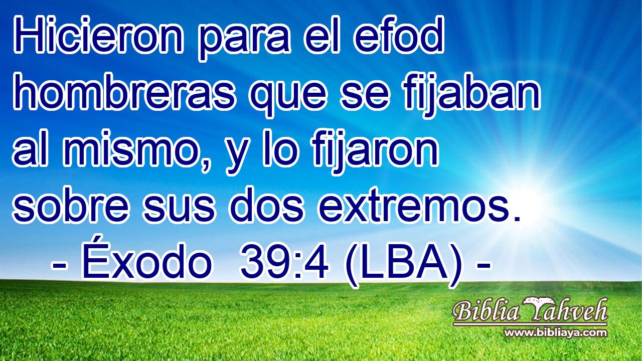 Hicieron para el efod hombreras que se fijaban al mismo, y lo fijaron sobre sus dos extremos.