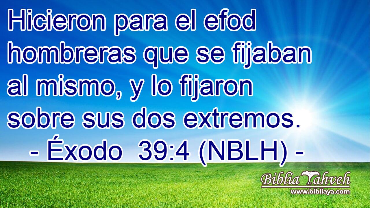  Hicieron para el efod hombreras que se fijaban al mismo, y lo fijaron sobre sus dos extremos. 