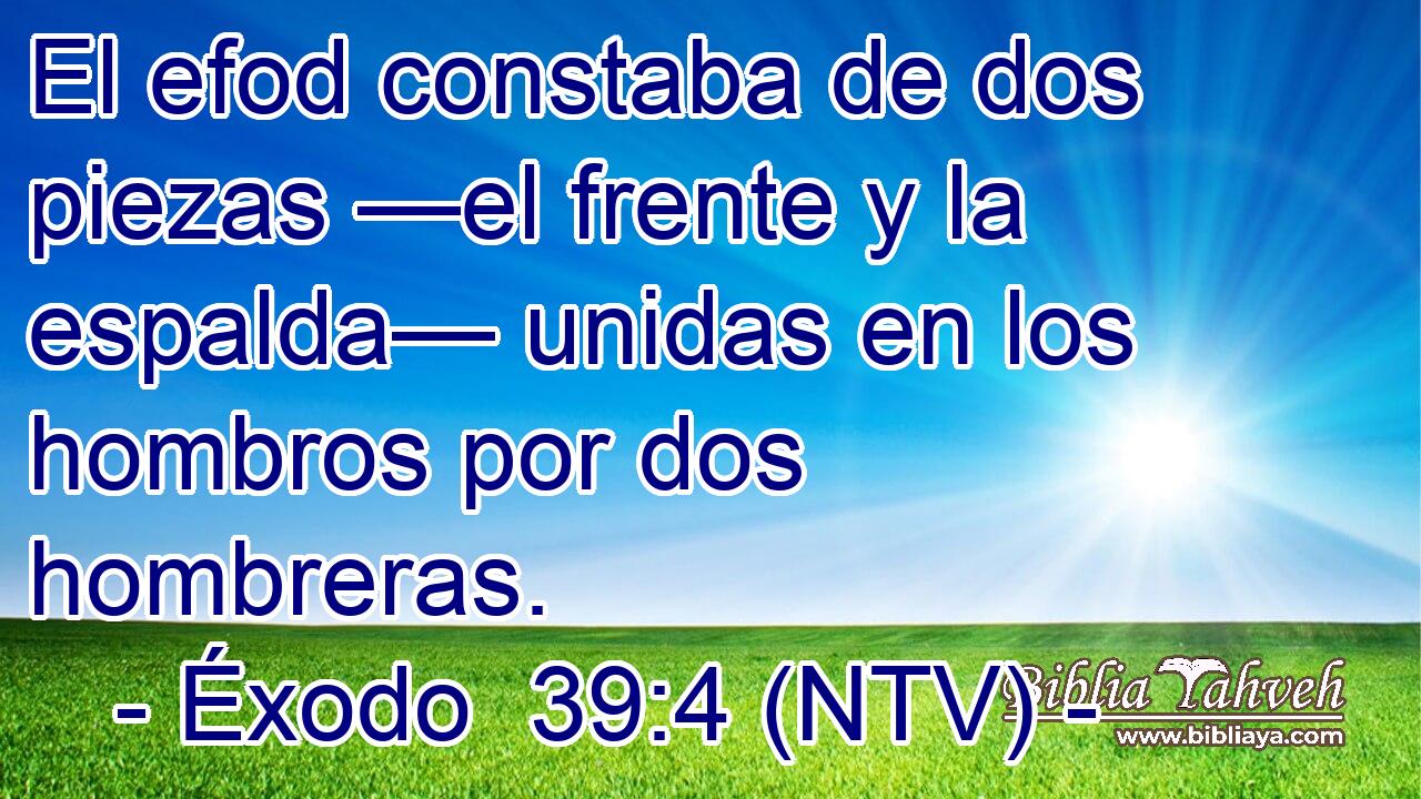 El efod constaba de dos piezas —el frente y la espalda— unidas en los hombros por dos hombreras.