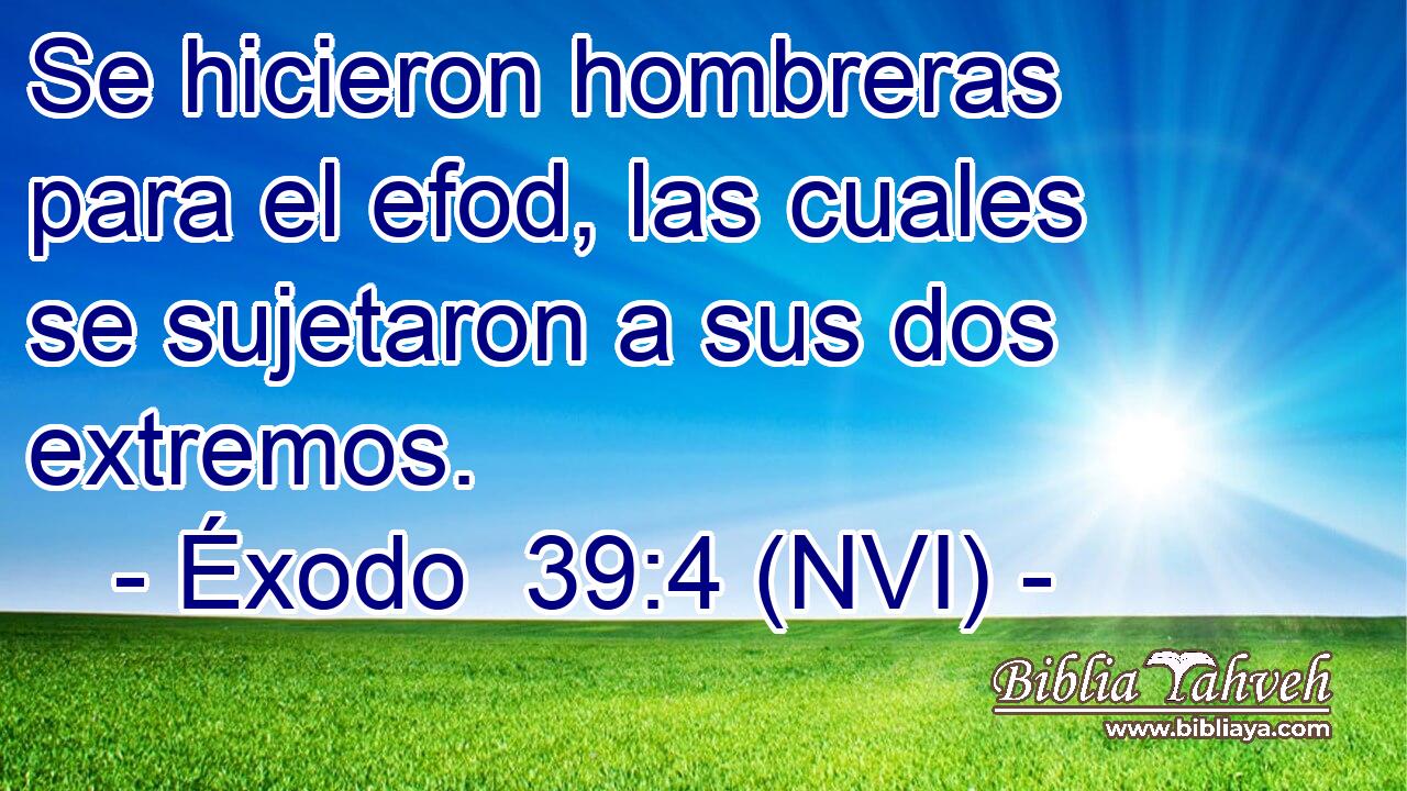  Se hicieron hombreras para el efod, las cuales se sujetaron a sus dos extremos. 