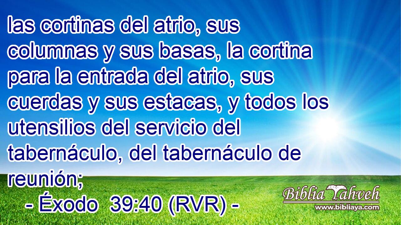 las cortinas del atrio, sus columnas y sus basas, la cortina para la entrada del atrio, sus cuerdas y sus estacas, y todos los utensilios del servicio del tabernáculo, del tabernáculo de reunión;