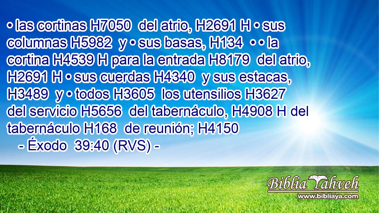 • las cortinas H7050  del atrio, H2691 H • sus columnas H5982  y • sus basas, H134  • • la cortina H4539 H para la entrada H8179  del atrio, H2691 H • sus cuerdas H4340  y sus estacas, H3489  y • todos H3605  los utensilios H3627  del servicio H5656  del tabernáculo, H4908 H del tabernáculo H168  de reunión; H4150  