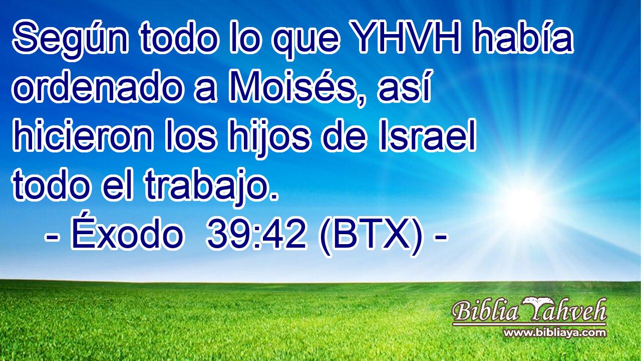 Según todo lo que YHVH había ordenado a Moisés, así hicieron los hijos de Israel todo el trabajo.