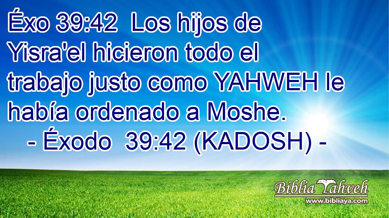  Los hijos de Yisra'el hicieron todo el trabajo justo como YAHWEH le había ordenado a Moshe. 
