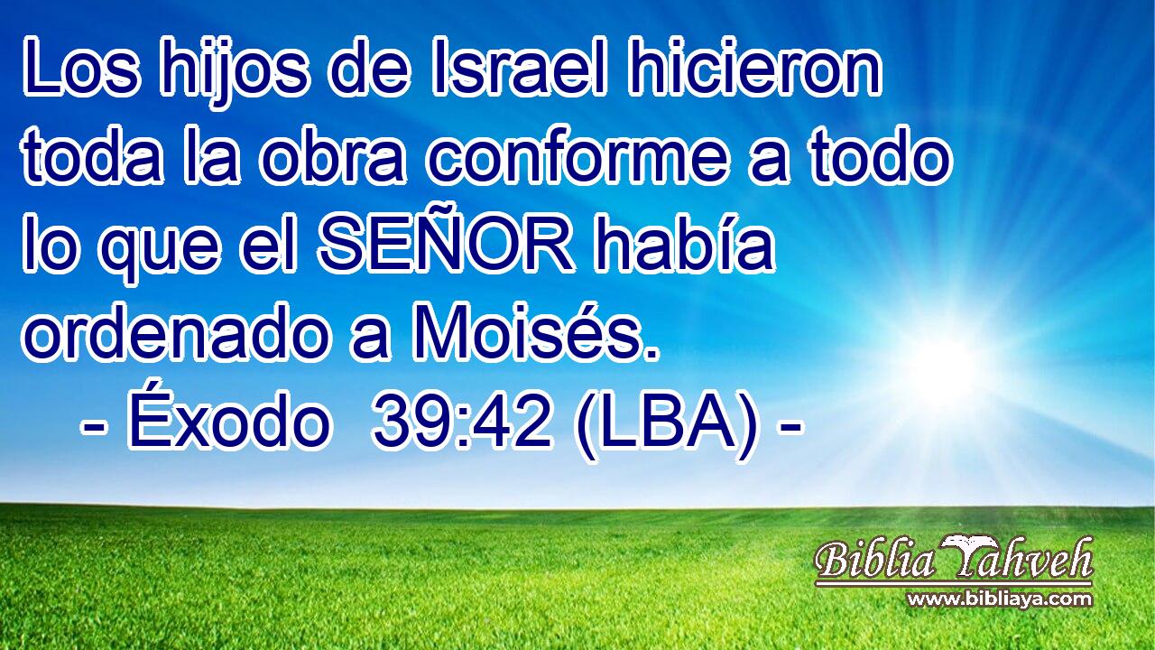 Los hijos de Israel hicieron toda la obra conforme a todo lo que el SEÑOR había ordenado a Moisés.