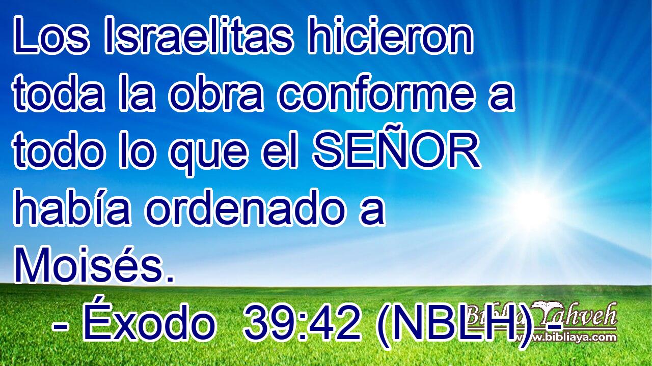  Los Israelitas hicieron toda la obra conforme a todo lo que el SEÑOR había ordenado a Moisés. 