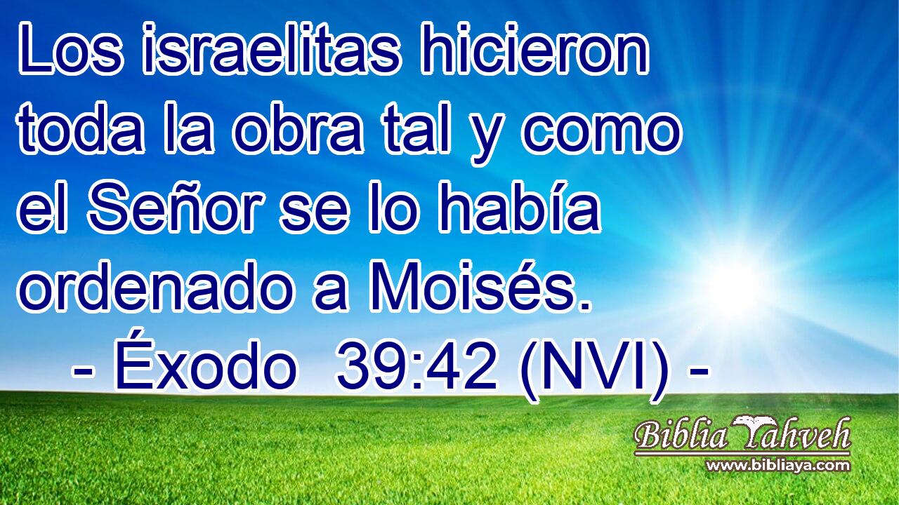  Los israelitas hicieron toda la obra tal y como el Señor se lo había ordenado a Moisés. 