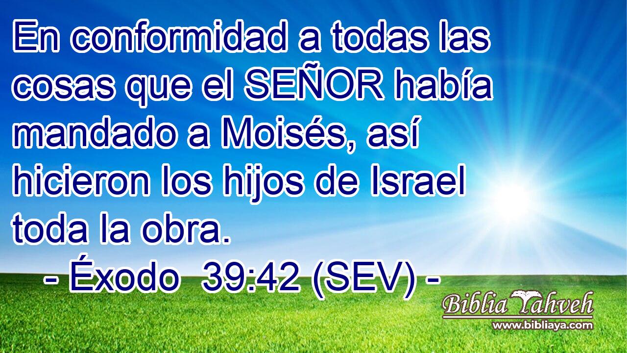En conformidad a todas las cosas que el SEÑOR había mandado a Moisés, así hicieron los hijos de Israel toda la obra.
