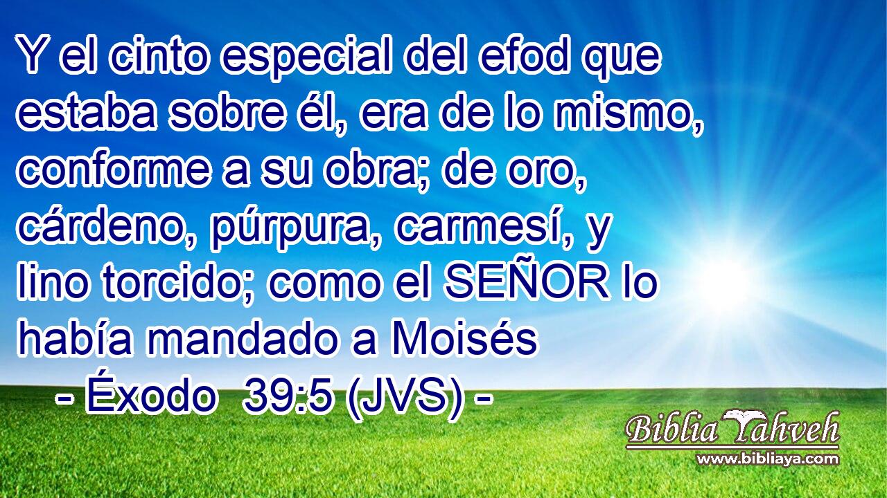 Y el cinto especial del efod que estaba sobre él, era de lo mismo, conforme a su obra; de oro, cárdeno, púrpura, carmesí, y lino torcido; como el SEÑOR lo había mandado a Moisés