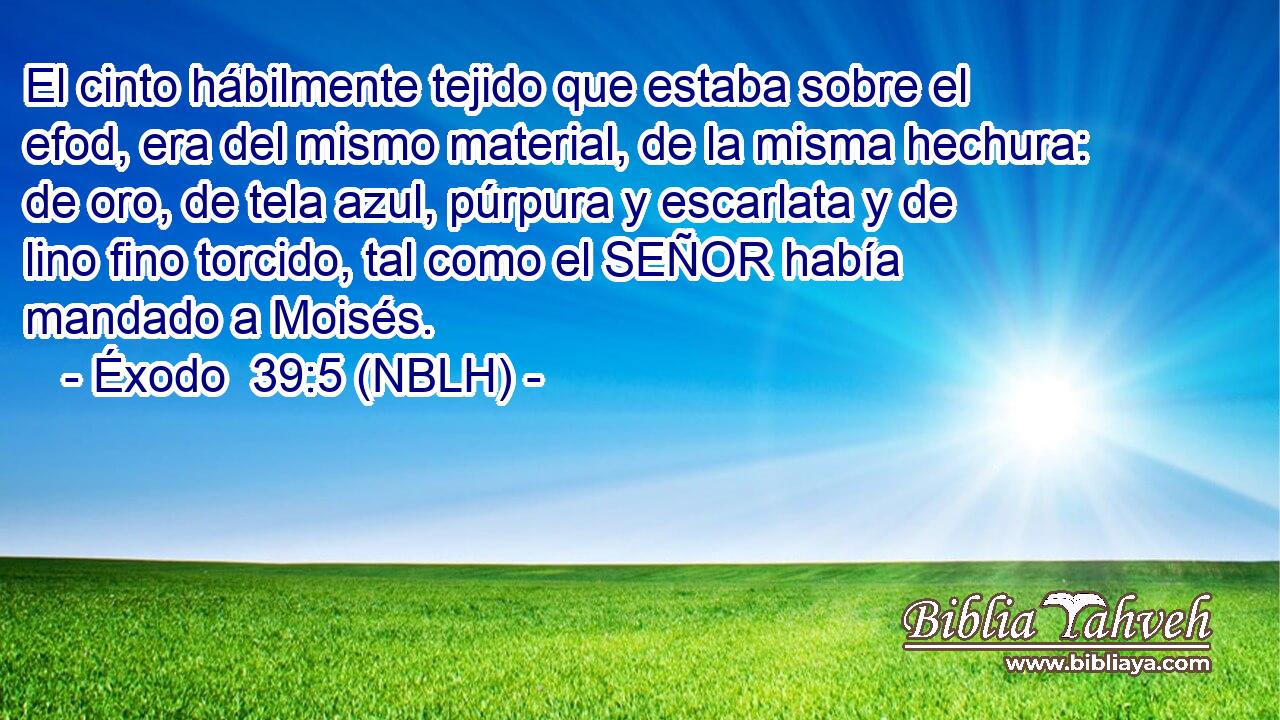  El cinto hábilmente tejido que estaba sobre el efod, era del mismo material, de la misma hechura: de oro, de tela azul, púrpura y escarlata y de lino fino torcido, tal como el SEÑOR había mandado a Moisés. 