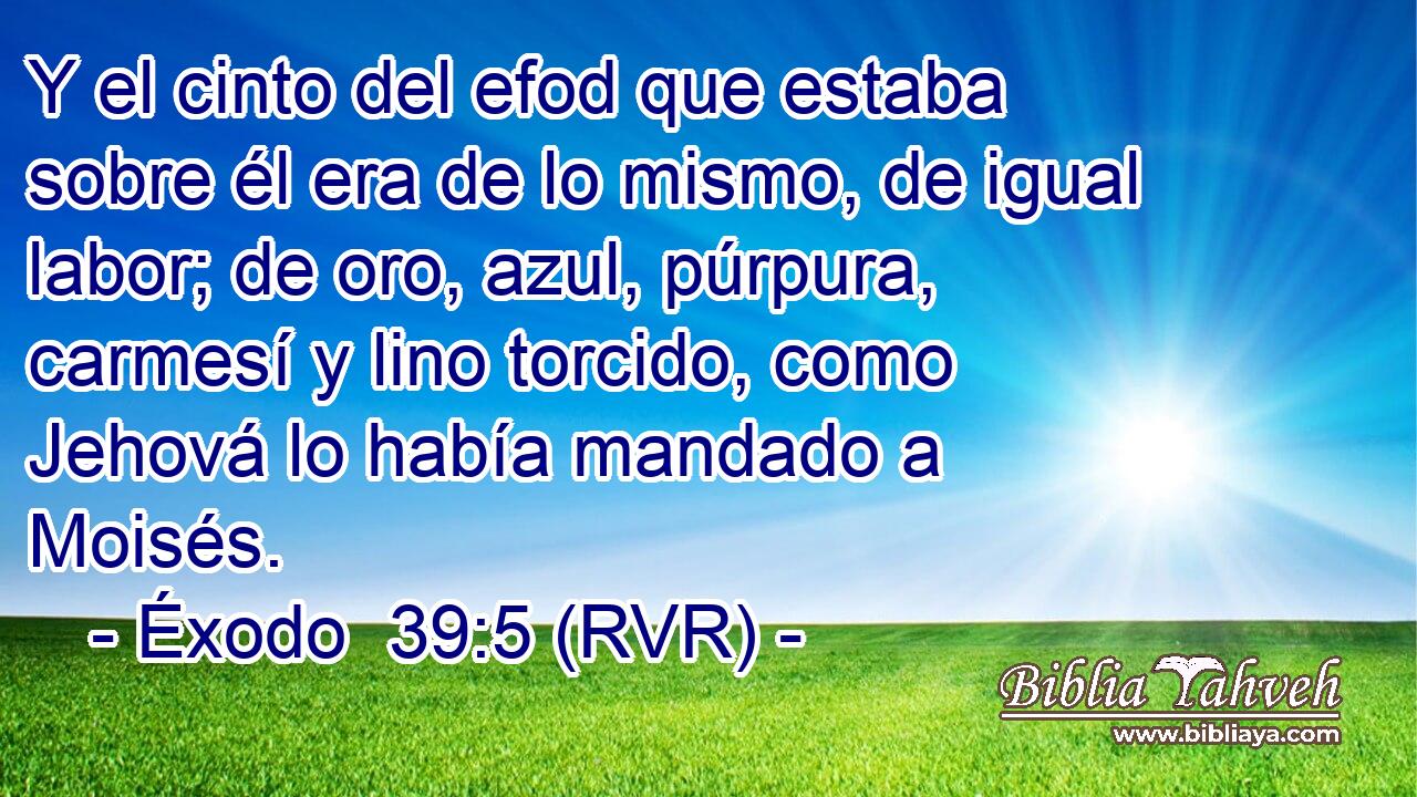 Y el cinto del efod que estaba sobre él era de lo mismo, de igual labor; de oro, azul, púrpura, carmesí y lino torcido, como Jehová lo había mandado a Moisés.