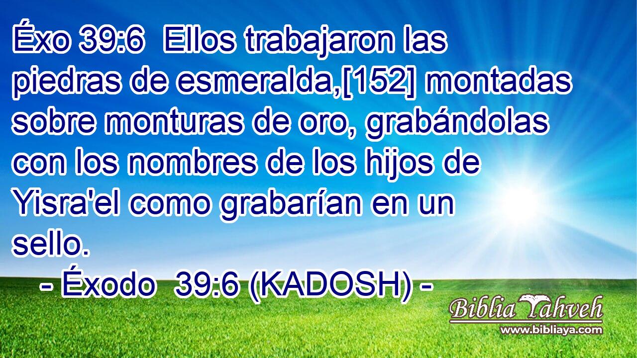  Ellos trabajaron las piedras de esmeralda,[152] montadas sobre monturas de oro, grabándolas con los nombres de los hijos de Yisra'el como grabarían en un sello. 