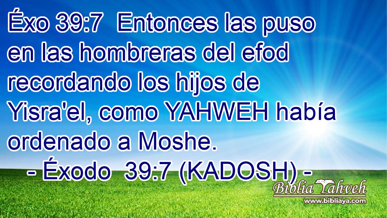  Entonces las puso en las hombreras del efod recordando los hijos de Yisra'el, como YAHWEH había ordenado a Moshe. 