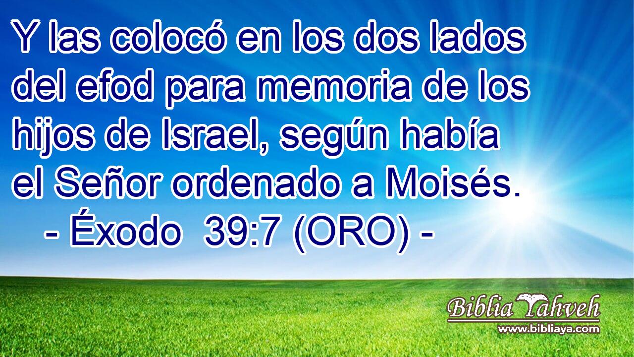  Y las colocó en los dos lados del efod para memoria de los hijos de Israel, según había el Señor ordenado a Moisés. 