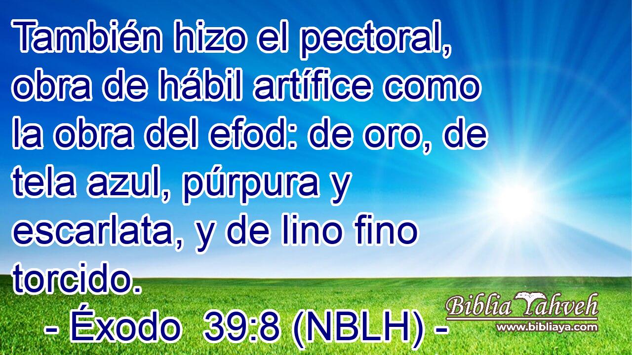  También hizo el pectoral, obra de hábil artífice como la obra del efod: de oro, de tela azul, púrpura y escarlata, y de lino fino torcido. 