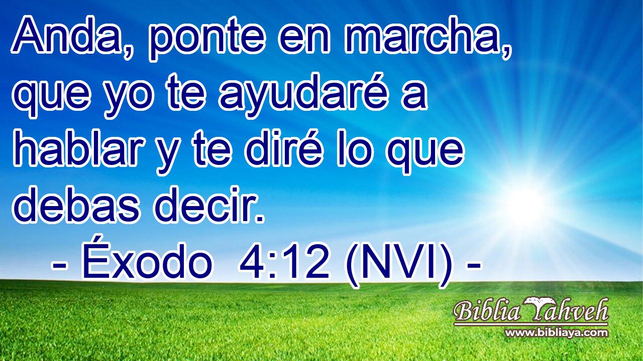  Anda, ponte en marcha, que yo te ayudaré a hablar y te diré lo que debas decir. 