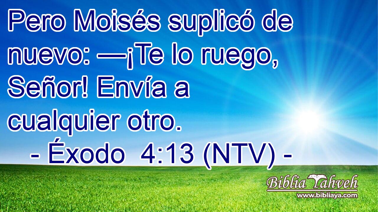 Pero Moisés suplicó de nuevo: —¡Te lo ruego, Señor! Envía a cualquier otro.