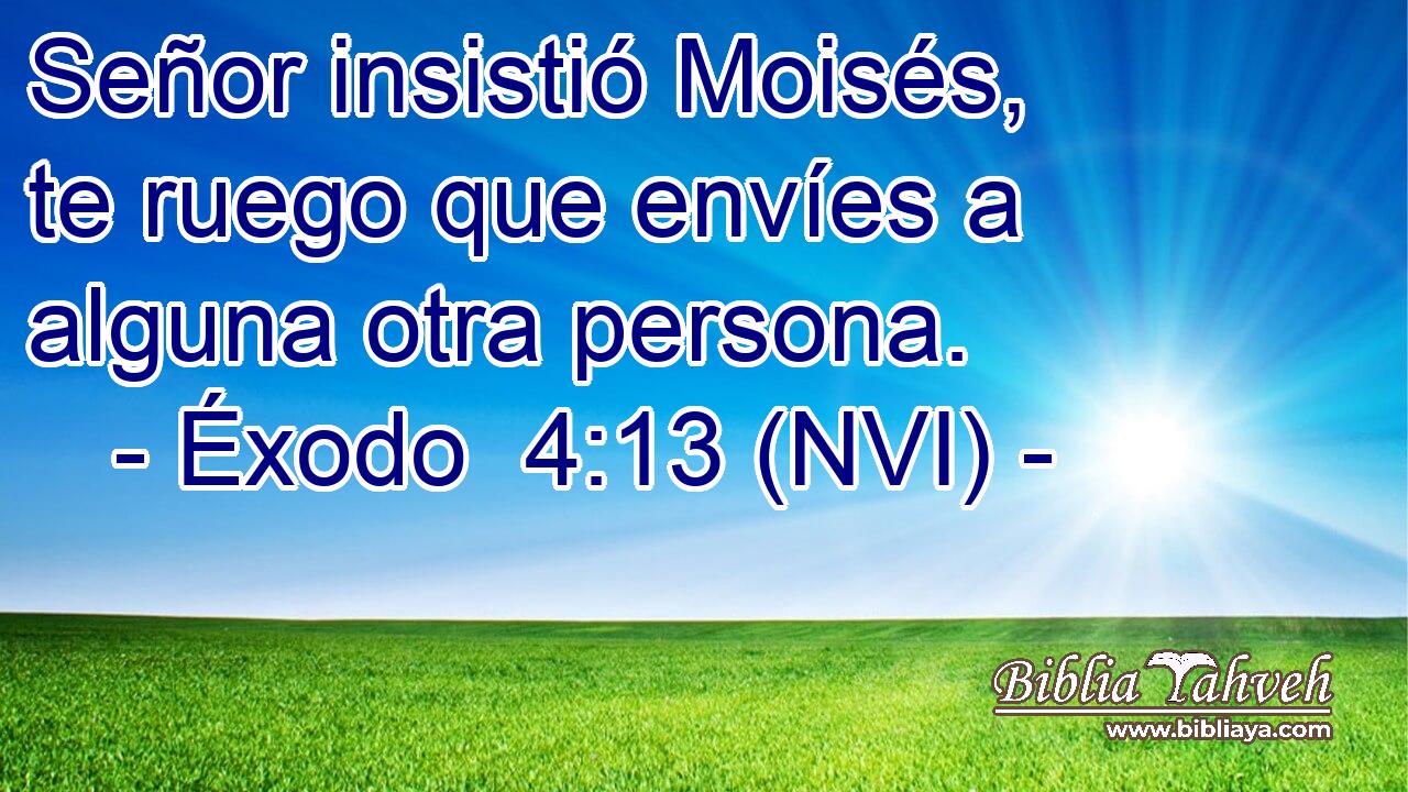  Señor insistió Moisés, te ruego que envíes a alguna otra persona. 
