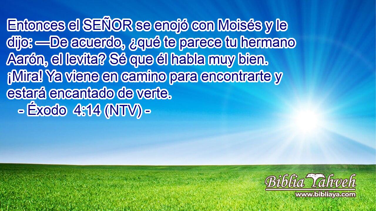 Entonces el SEÑOR se enojó con Moisés y le dijo: —De acuerdo, ¿qué te parece tu hermano Aarón, el levita? Sé que él habla muy bien. ¡Mira! Ya viene en camino para encontrarte y estará encantado de verte.