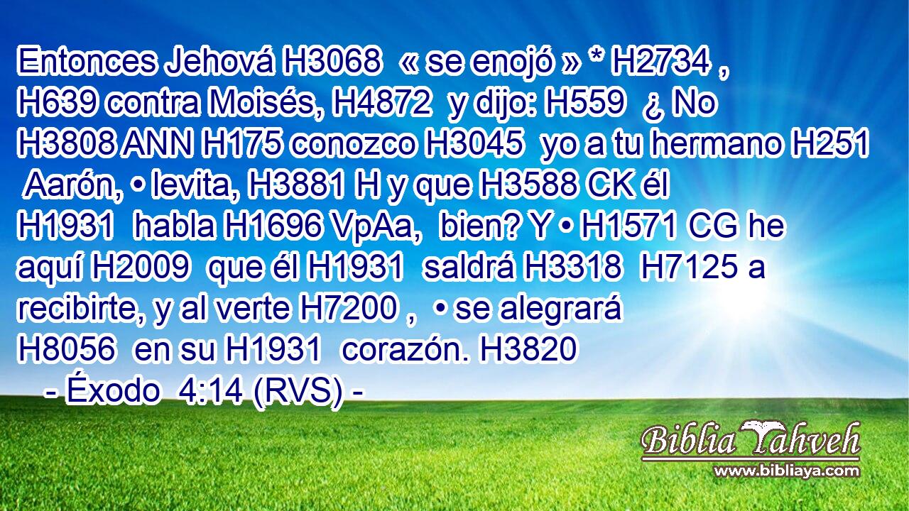 Entonces Jehová H3068  « se enojó » * H2734 ,  H639 contra Moisés, H4872  y dijo: H559  ¿ No H3808 ANN H175 conozco H3045  yo a tu hermano H251  Aarón, • levita, H3881 H y que H3588 CK él H1931  habla H1696 VpAa,  bien? Y • H1571 CG he aquí H2009  que él H1931  saldrá H3318  H7125 a recibirte, y al verte H7200 ,  • se alegrará H8056  en su H1931  corazón. H3820