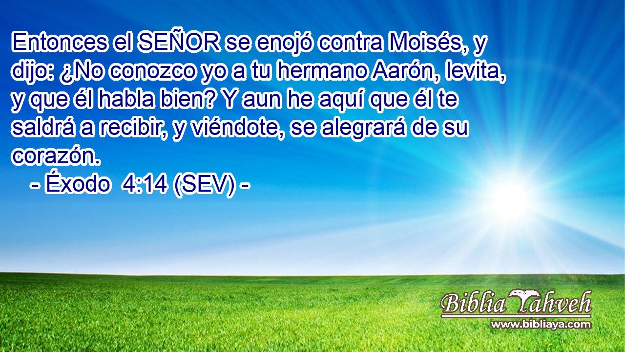 Entonces el SEÑOR se enojó contra Moisés, y dijo: ¿No conozco yo a tu hermano Aarón, levita, y que él habla bien? Y aun he aquí que él te saldrá a recibir, y viéndote, se alegrará de su corazón.