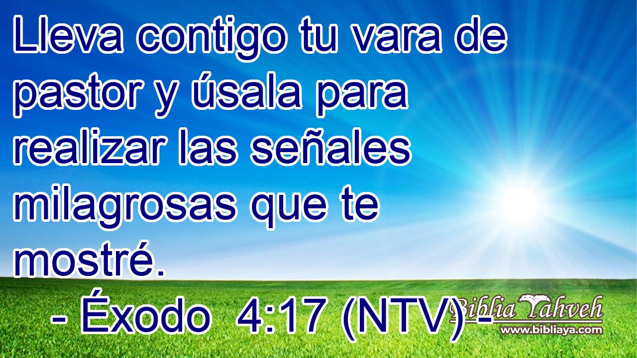 Lleva contigo tu vara de pastor y úsala para realizar las señales milagrosas que te mostré.