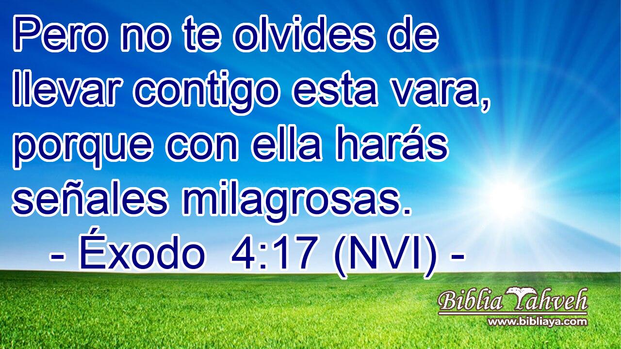  Pero no te olvides de llevar contigo esta vara, porque con ella harás señales milagrosas. 