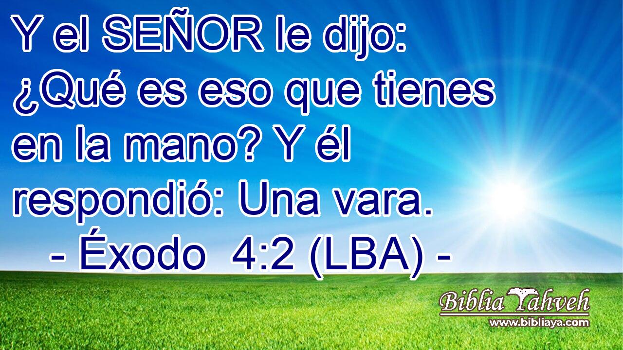 Y el SEÑOR le dijo: ¿Qué es eso que tienes en la mano? Y él respondió: Una vara.