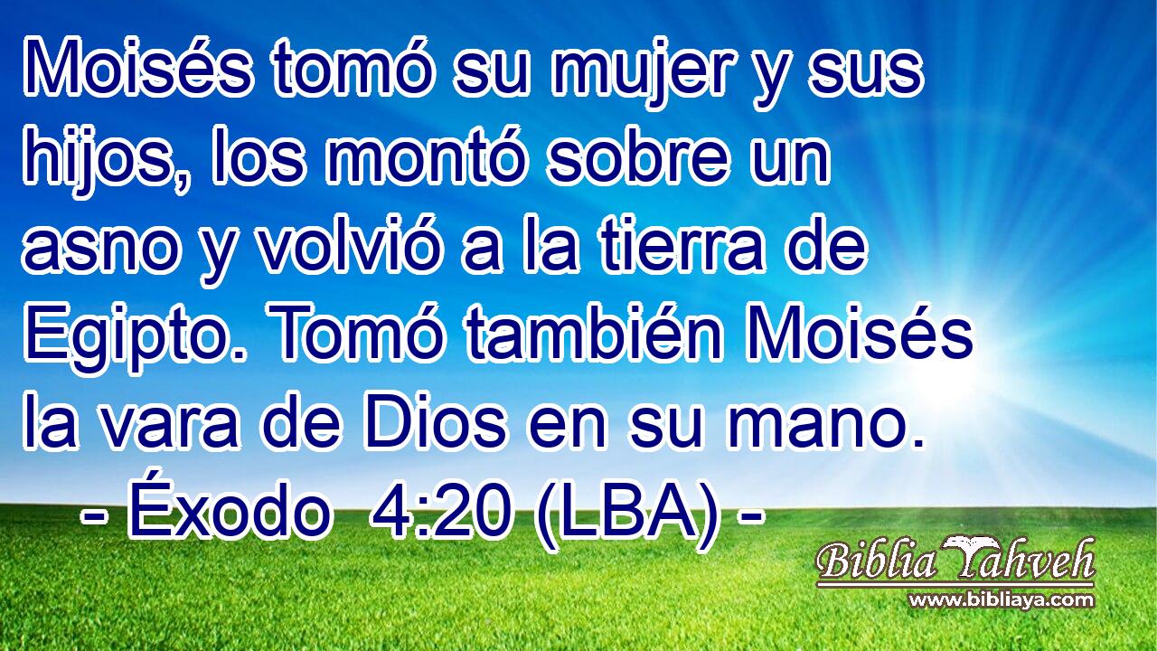 Moisés tomó su mujer y sus hijos, los montó sobre un asno y volvió a la tierra de Egipto. Tomó también Moisés la vara de Dios en su mano.