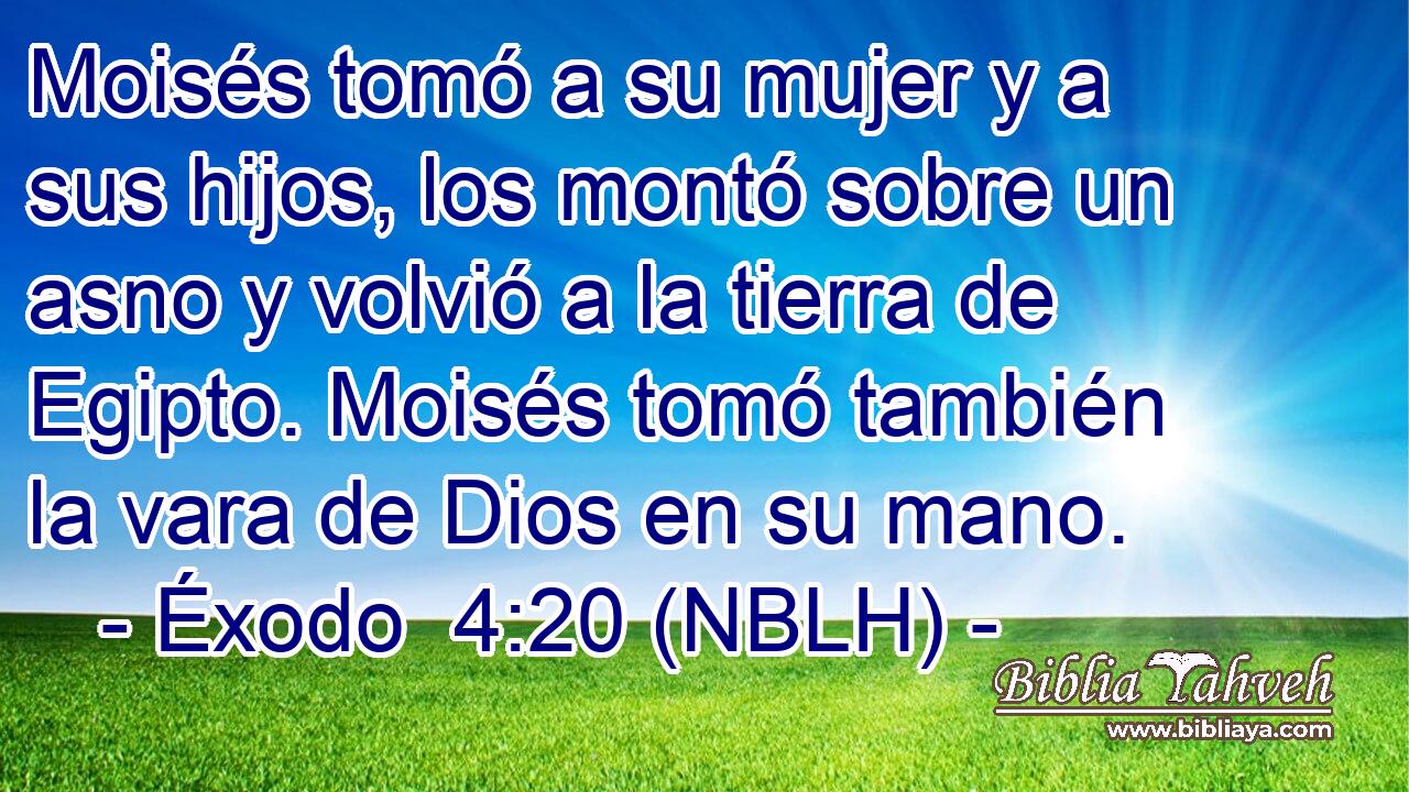  Moisés tomó a su mujer y a sus hijos, los montó sobre un asno y volvió a la tierra de Egipto. Moisés tomó también la vara de Dios en su mano. 