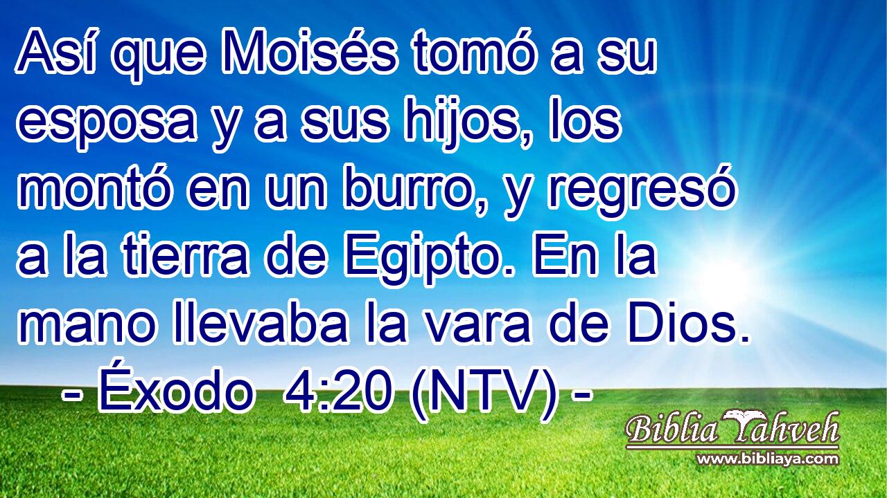 Así que Moisés tomó a su esposa y a sus hijos, los montó en un burro, y regresó a la tierra de Egipto. En la mano llevaba la vara de Dios.