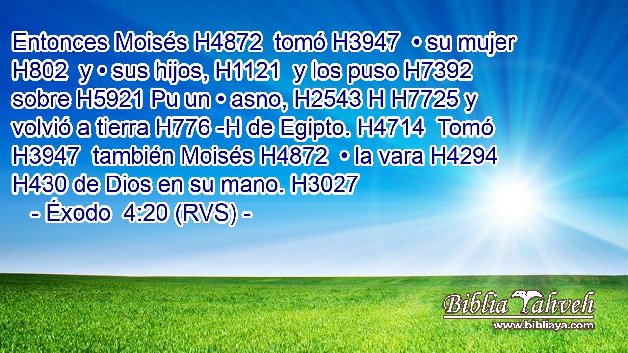 Entonces Moisés H4872  tomó H3947  • su mujer H802  y • sus hijos, H1121  y los puso H7392  sobre H5921 Pu un • asno, H2543 H H7725 y volvió a tierra H776 -H de Egipto. H4714  Tomó H3947  también Moisés H4872  • la vara H4294  H430 de Dios en su mano. H3027  