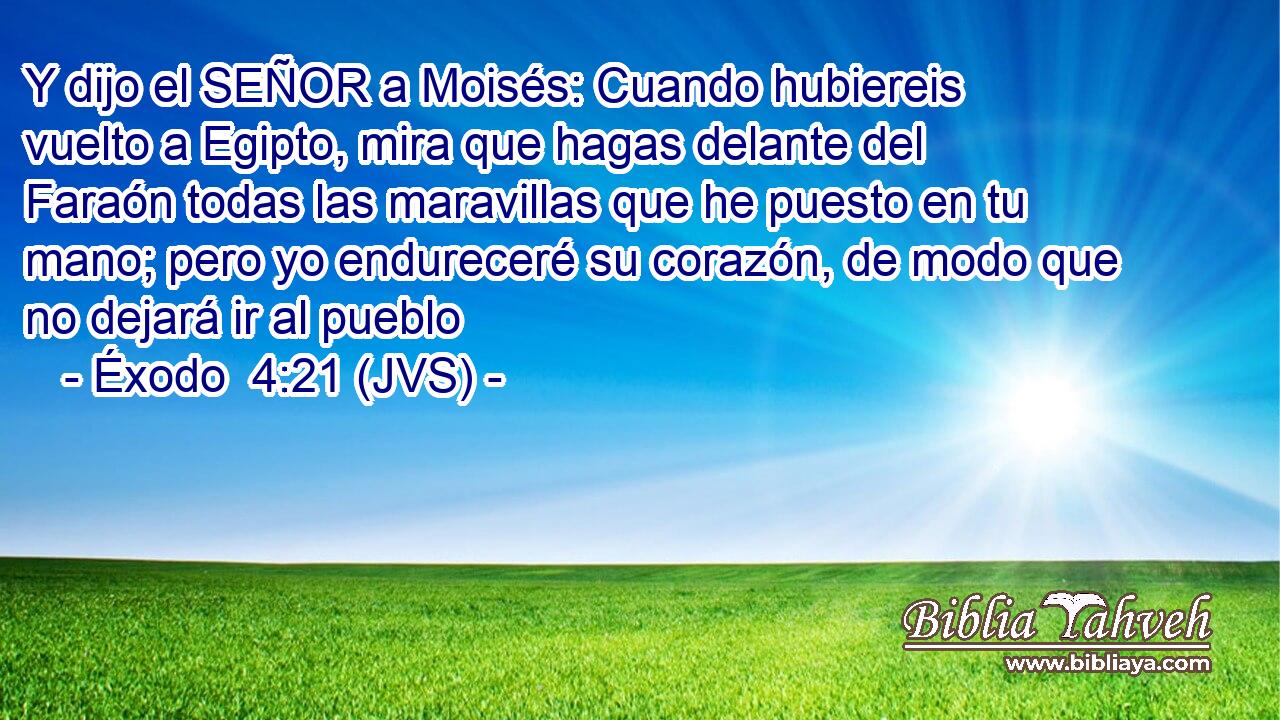 Y dijo el SEÑOR a Moisés: Cuando hubiereis vuelto a Egipto, mira que hagas delante del Faraón todas las maravillas que he puesto en tu mano; pero yo endureceré su corazón, de modo que no dejará ir al pueblo