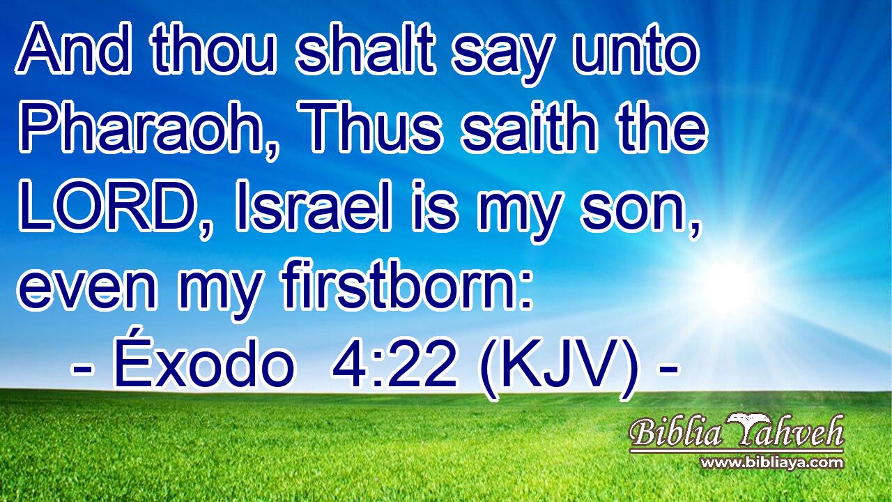 And thou shalt say unto Pharaoh, Thus saith the LORD, Israel is my son, even my firstborn: