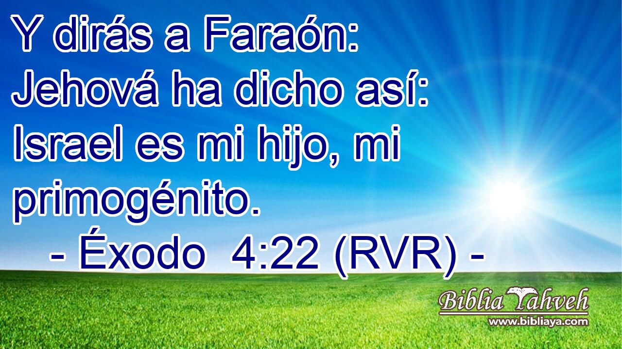 Y dirás a Faraón: Jehová ha dicho así: Israel es mi hijo, mi primogénito.