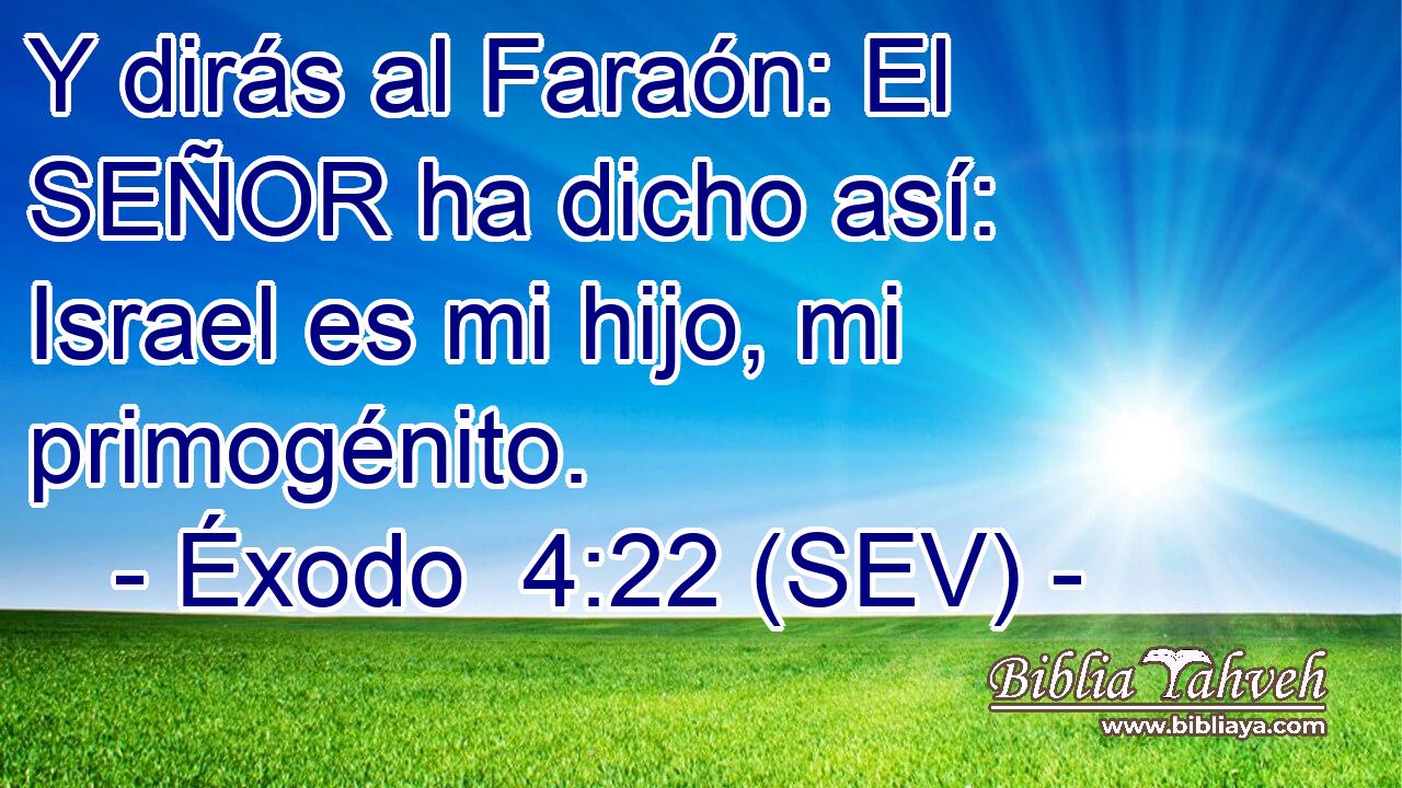 Y dirás al Faraón: El SEÑOR ha dicho así: Israel es mi hijo, mi primogénito.
