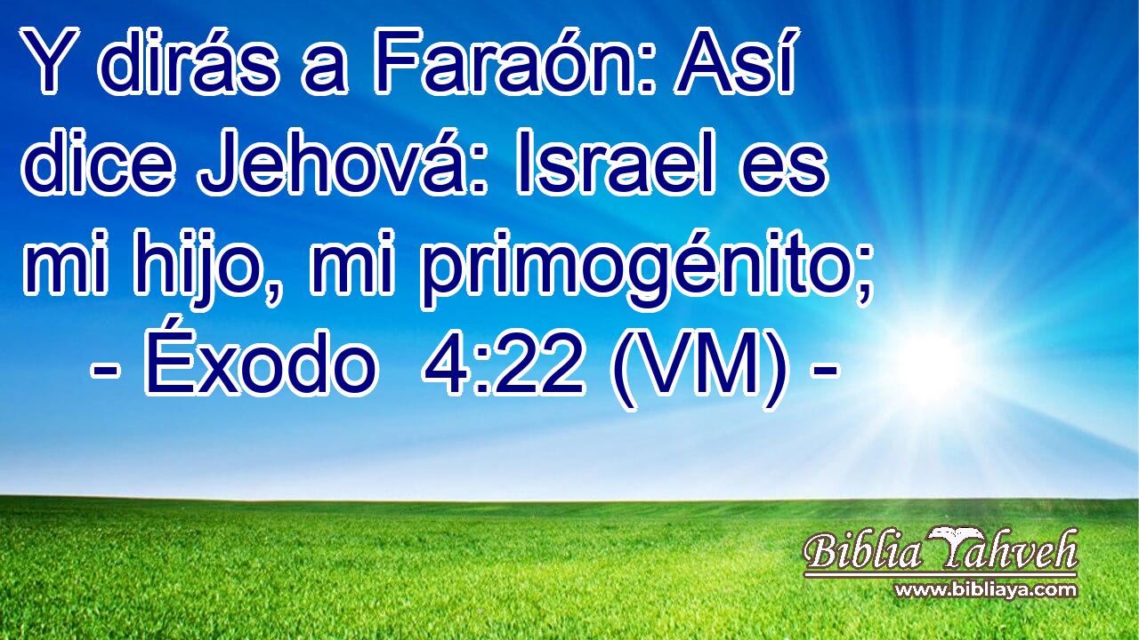  Y dirás a Faraón: Así dice Jehová: Israel es mi hijo, mi primogénito; 
