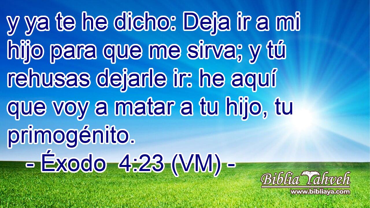  y ya te he dicho: Deja ir a mi hijo para que me sirva; y tú rehusas dejarle ir: he aquí que voy a matar a tu hijo, tu primogénito. 