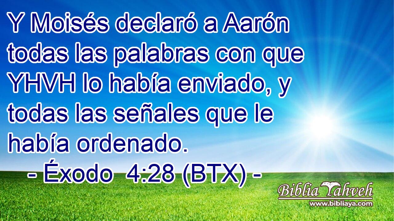 Y Moisés declaró a Aarón todas las palabras con que YHVH lo había enviado, y todas las señales que le había ordenado.