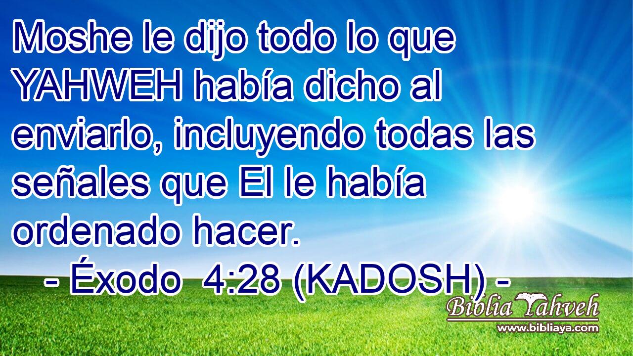  Moshe le dijo todo lo que YAHWEH había dicho al enviarlo, incluyendo todas las señales que El le había ordenado hacer. 