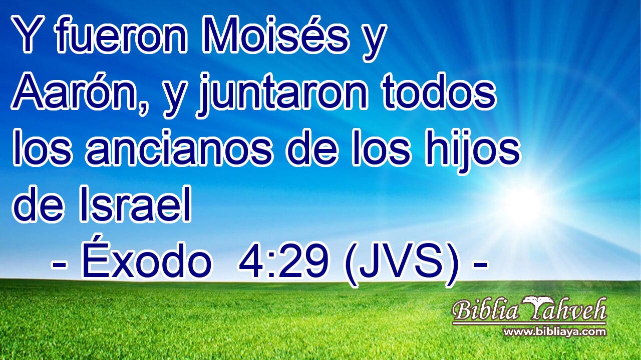 Y fueron Moisés y Aarón, y juntaron todos los ancianos de los hijos de Israel