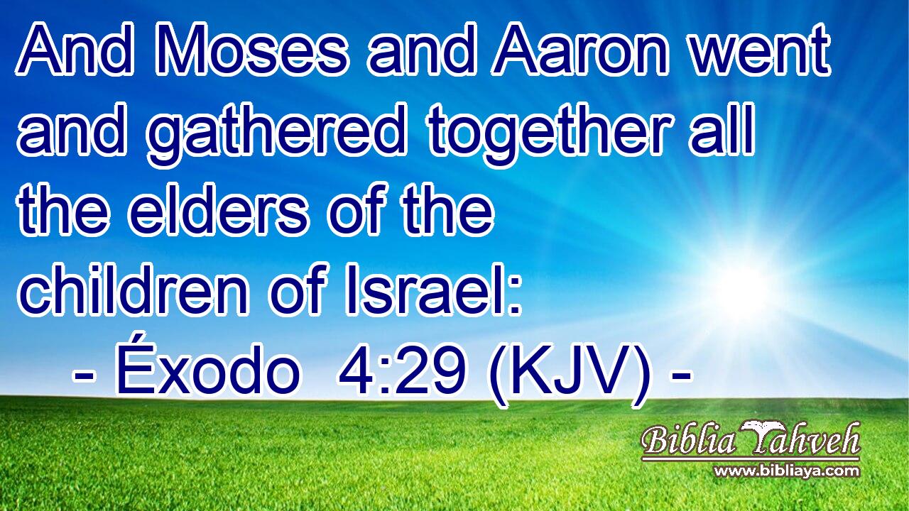 And Moses and Aaron went and gathered together all the elders of the children of Israel: