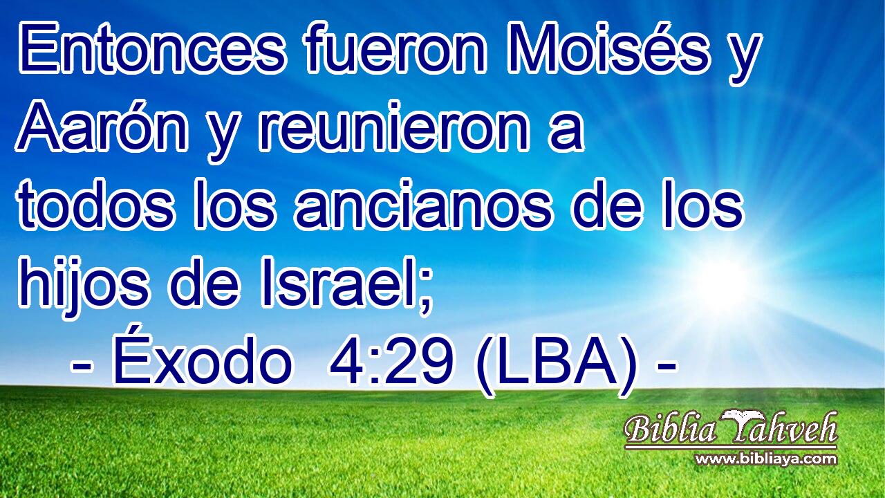 Entonces fueron Moisés y Aarón y reunieron a todos los ancianos de los hijos de Israel;