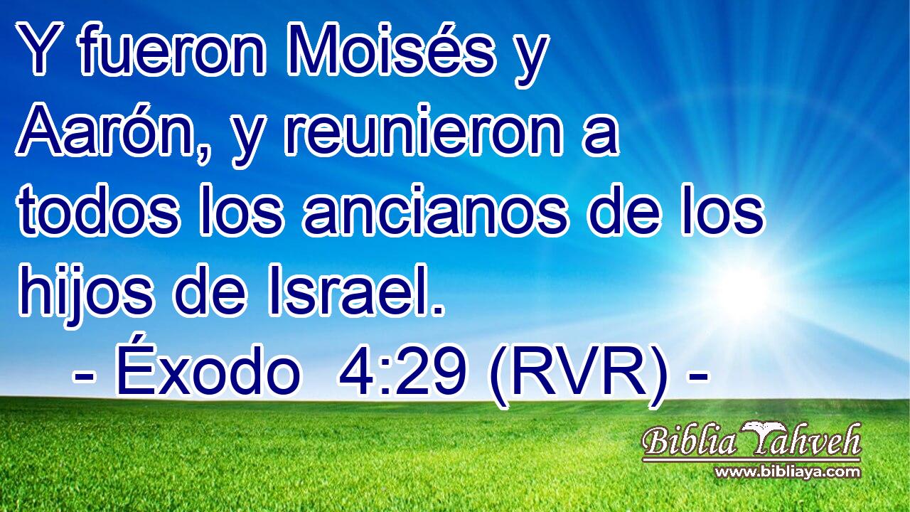 Y fueron Moisés y Aarón, y reunieron a todos los ancianos de los hijos de Israel.
