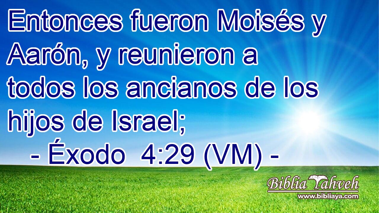  Entonces fueron Moisés y Aarón, y reunieron a todos los ancianos de los hijos de Israel; 