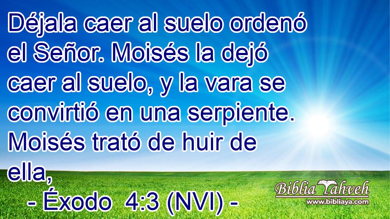  Déjala caer al suelo ordenó el Señor. Moisés la dejó caer al suelo, y la vara se convirtió en una serpiente. Moisés trató de huir de ella, 